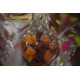 Sachet gourmand Pâtes de fruits