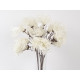 Fleur blanche double