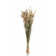 Botte de Queues de Lievre Herbes Séchées Naturel