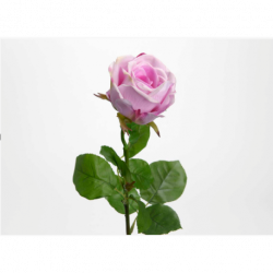 Rose fresh touch rose H 66 cm