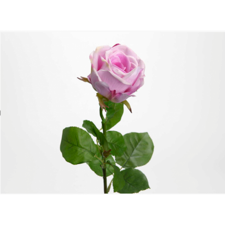 Rose fresh touch rose H 66 cm