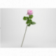 Rose fresh touch rose H 66 cm