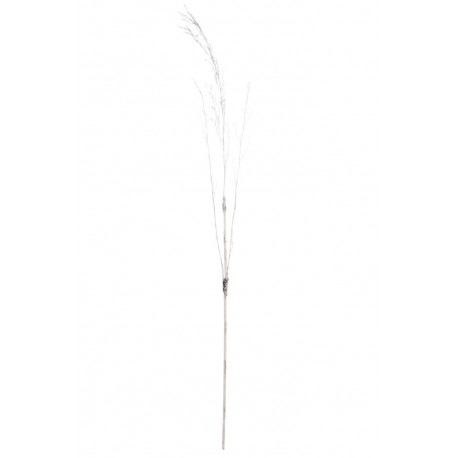 Branche De Bambou Enneigée Naturelle 185 cm Branche De Bambou Enneigée Naturelle 185 cm