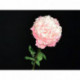 Pivoine rose 72 cm