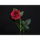 Rose rouge artificielle 69 cm