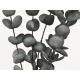 Branche décorative eucalyptus en mousse