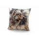 Coussin Loup
