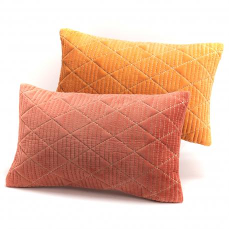 Coussin renouveau