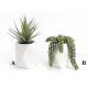 Plante grasse artificielle Nata