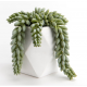 Plante grasse artificielle Nata