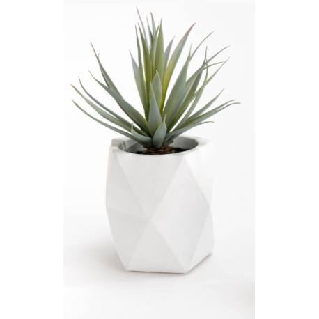 Plante grasse artificielle Nata