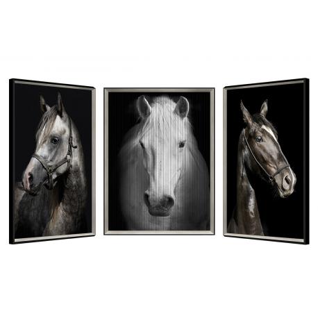 Tableau cinétique Chevaux Tableau cinétique Chevaux