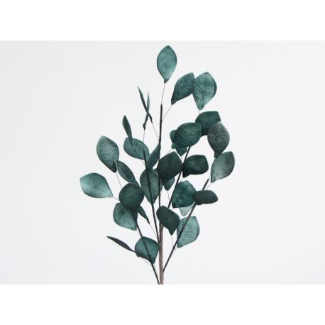 Branchage avec feuillage vertes