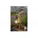 Lampe Perroquet or
