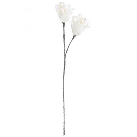 Fleur blanche Flora double