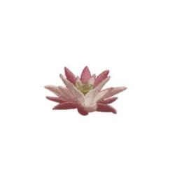 Patch thermocollant Fleur de Lotus