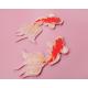 Duo de patchs thermocollants Carpe Koi