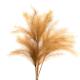 Tige de plumet Nora ocre