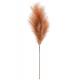 Tige de plumet Soft ocre