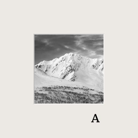 Photo de paysage en noir et blanc