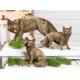 Statuette Renard Fabian