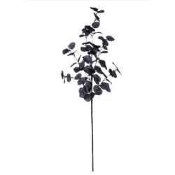 Branche décorative eucalyptus Nero