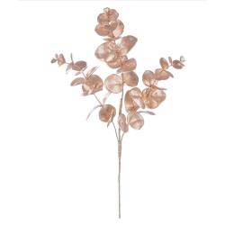 Branche décorative eucalyptus Champagne