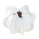Vase organique Coquille en céramique blanc