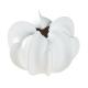 Vase organique Coquille en céramique blanc